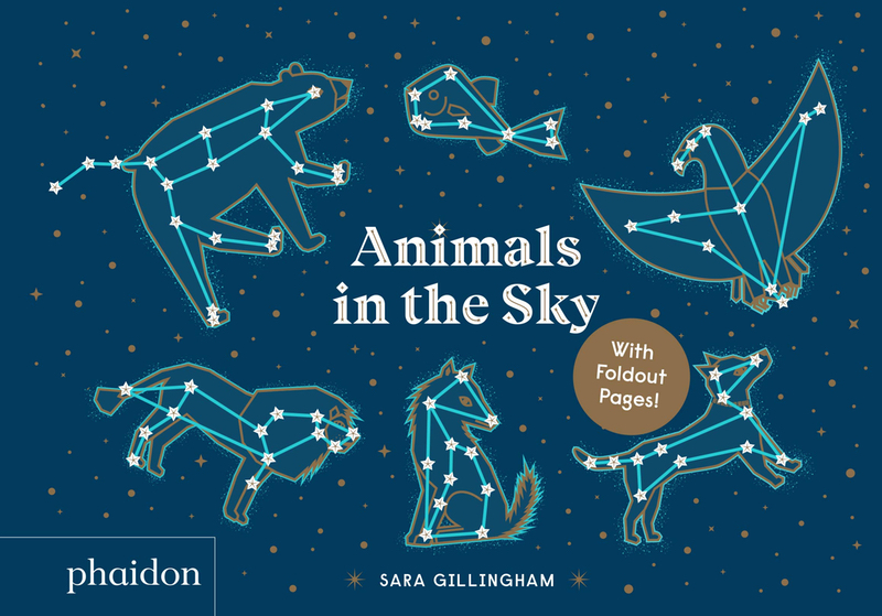 books-educational-children-learning-fun-animals-in-the-sky