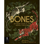 books-educational-children-learning-fun-bones-an-inside-look